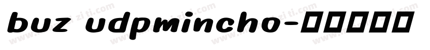 buz udpmincho字体转换